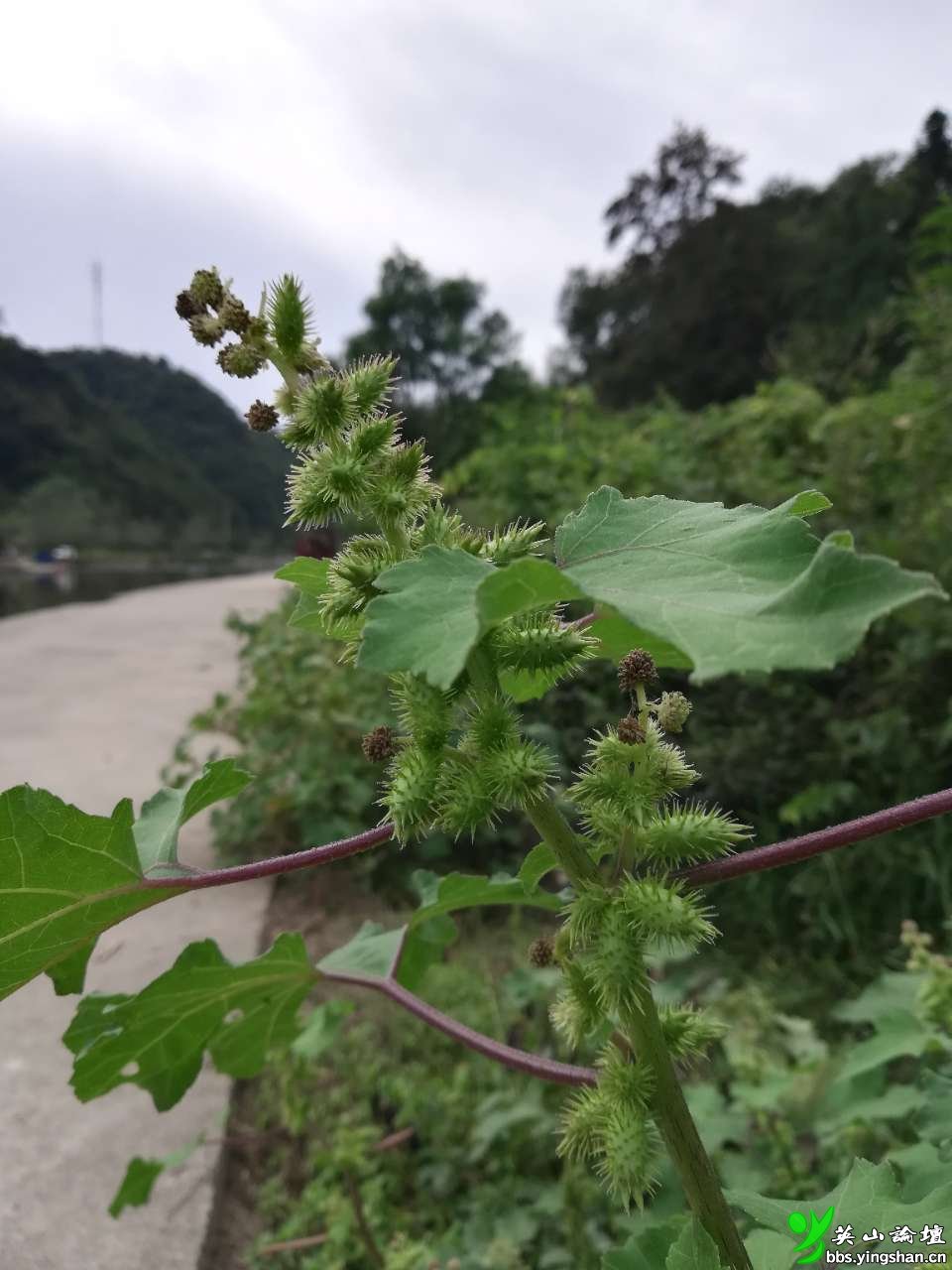 20181231_181128_1546224584311.jpg